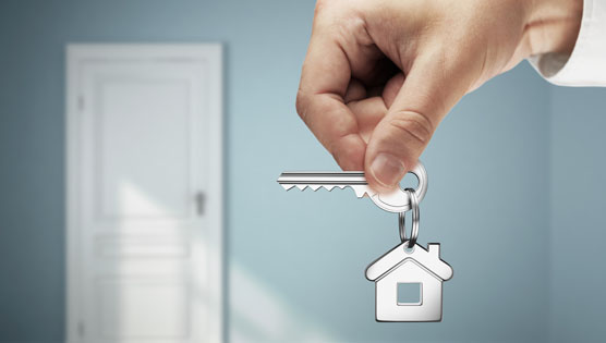 ASCHA Common Terminology PDF